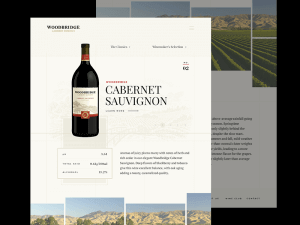Web Design in Leeds